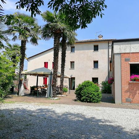 Agriturismo Da Andreina ボルソ・デル・グラッパ エクステリア 写真