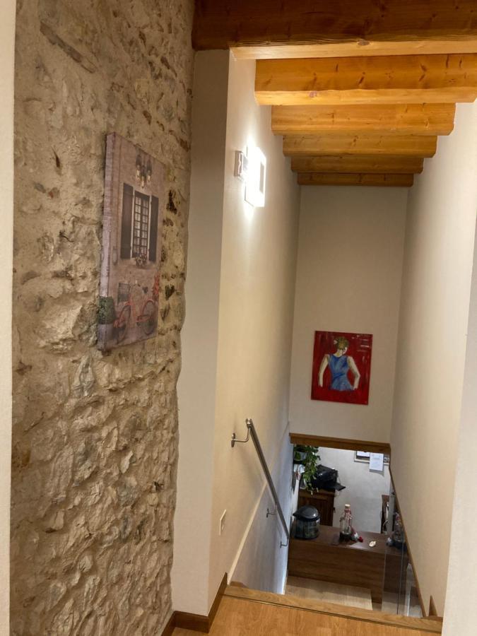 Agriturismo Da Andreina ボルソ・デル・グラッパ エクステリア 写真
