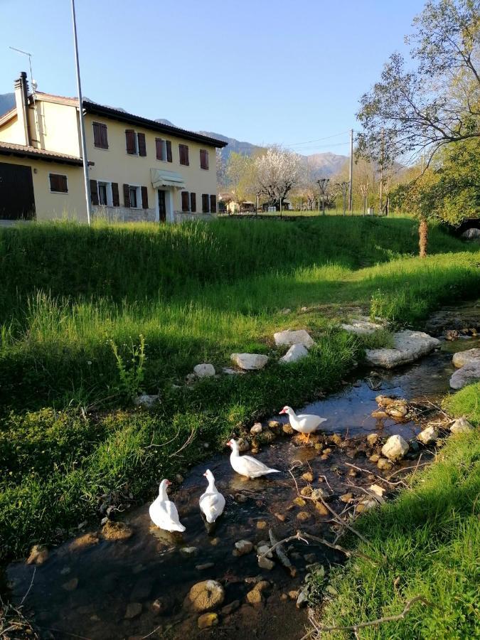 Agriturismo Da Andreina ボルソ・デル・グラッパ エクステリア 写真