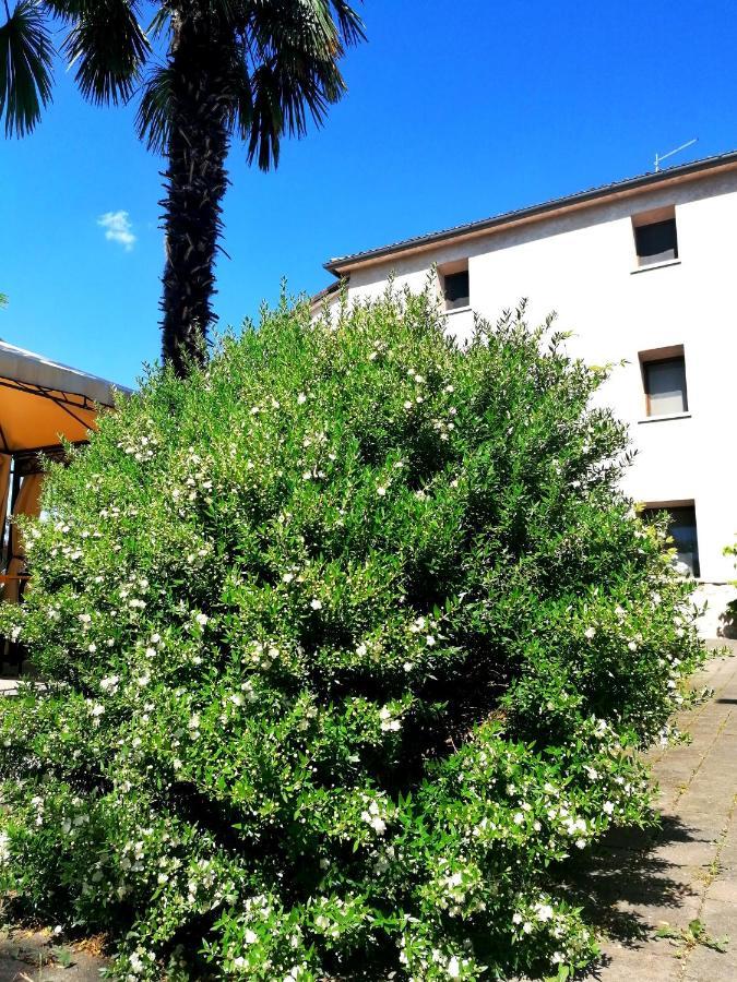 Agriturismo Da Andreina ボルソ・デル・グラッパ エクステリア 写真